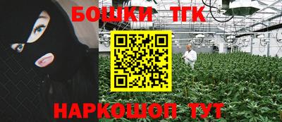мдпв Дубна