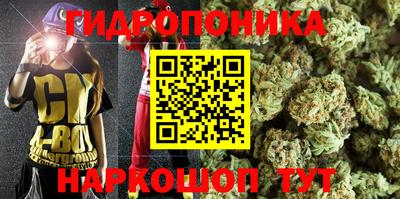 мдпв Дубна