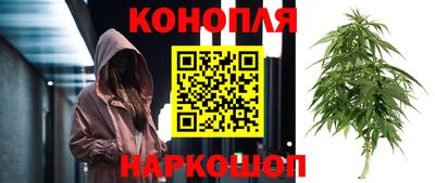 мдпв Дубна