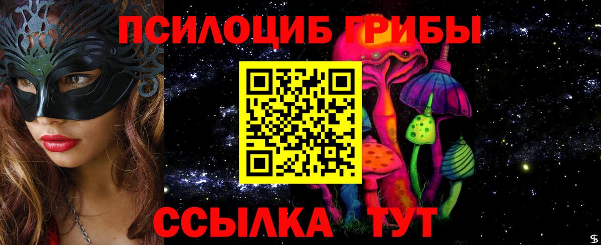 Гусиноозёрск  Галлюциногенные грибы мухоморы  Вход с VPN 