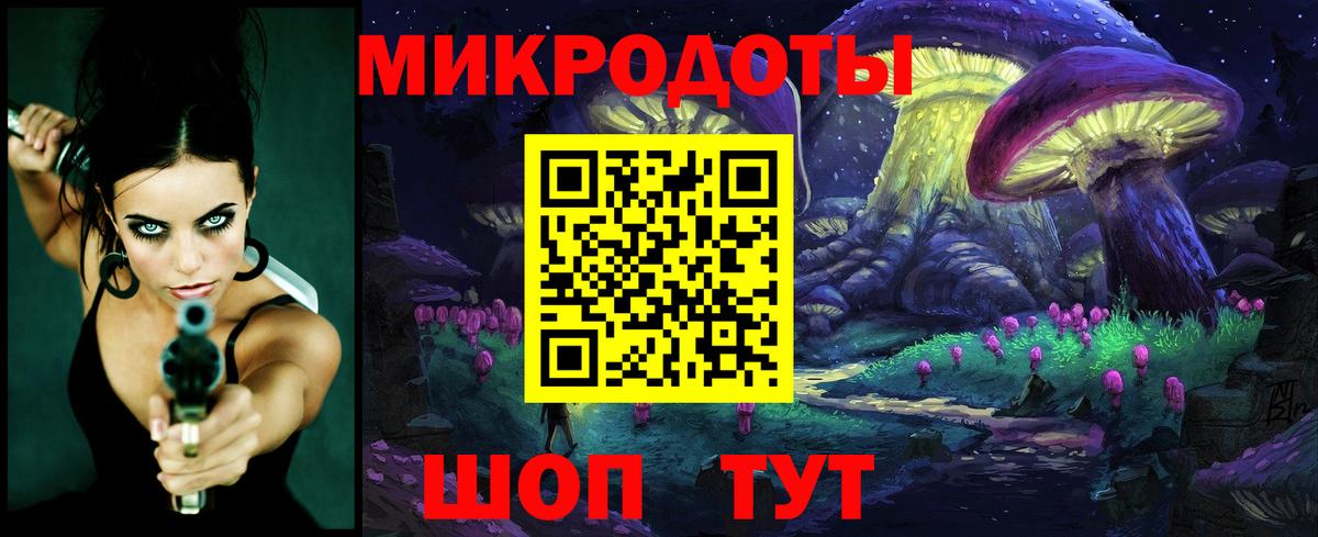 Галлюциногенные грибы Cubensis Гусиноозёрск